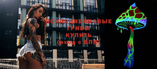 молекула духа Дмитриев