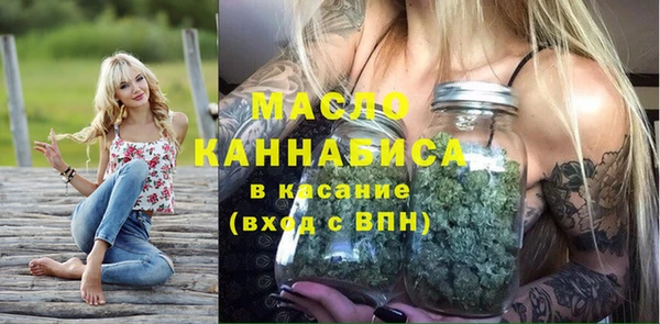 молекула духа Дмитриев