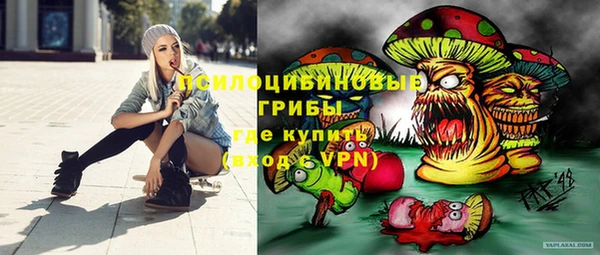 молекула духа Дмитриев